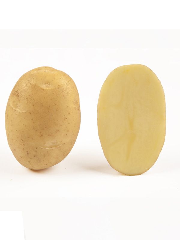 Картофель Сенсейшн IPM - 5 кг