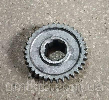 Шестерня Т16 5 и 6 передачи (z=31х36) СШ20.37.104