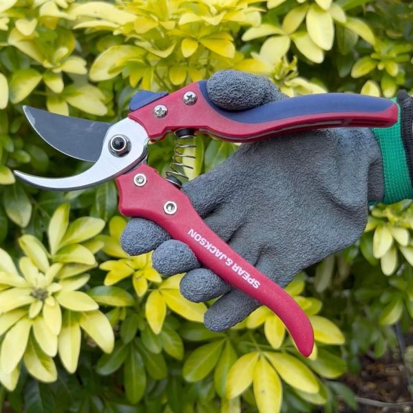 Обхідний сікатор Razorsharp The Kew Gardens Spear & Jackson