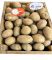 Картопля Арізона Agrico - 20 кг