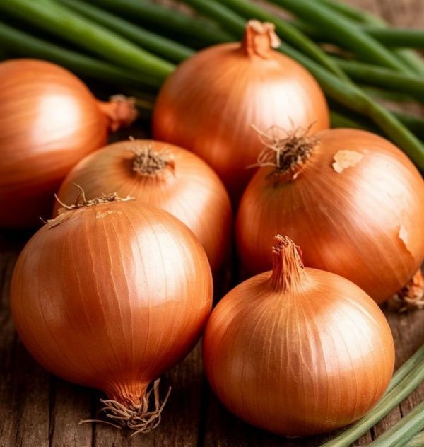 Цибуля Аруба F1 (Насіння) Sakata - 250 000 шт