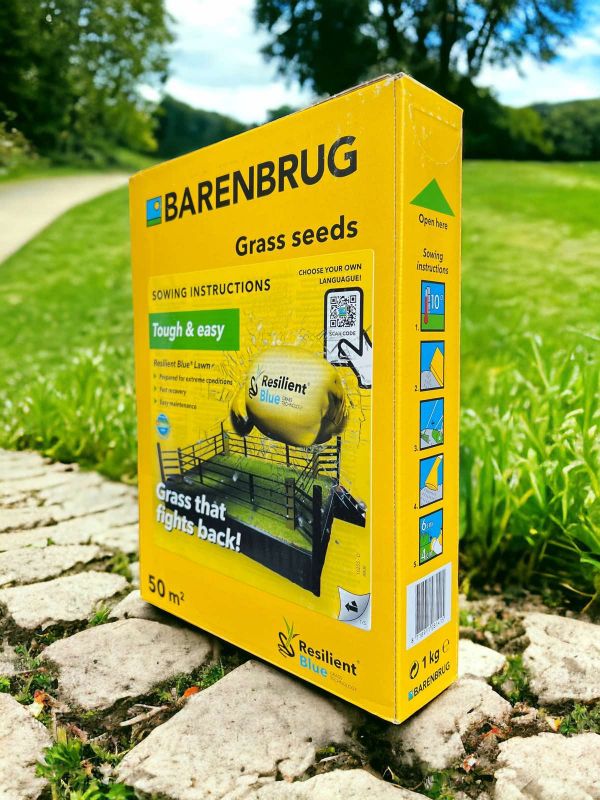 Газонна трава Resilient Blue Barenbrug - 1 кг