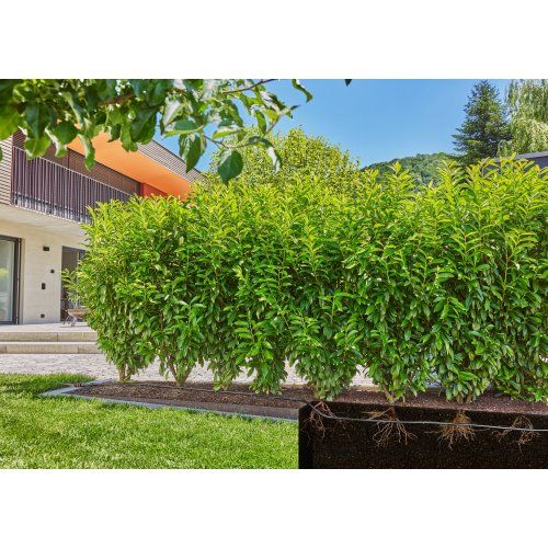 Шланг для мікрокрапельного поливу Gardena Micro-Drip-System 13 мм 25 м