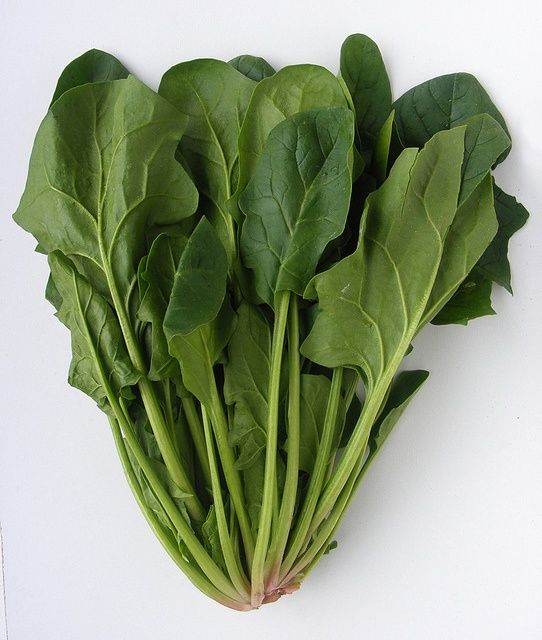 Шпинат Боа (Семена) Rijk Zwaan - 25 000 шт