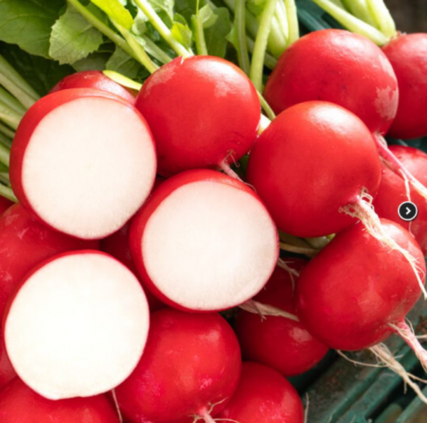 Редиска Бодіам кал. 2,75-3,0 (Насіння) Rijk Zwaan - 25 000 шт