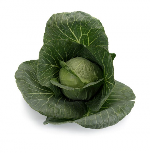 Капуста Болерома (калібр) (Насіння) Rijk Zwaan - 2500 шт