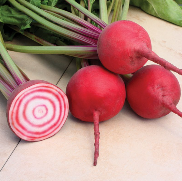 Буряк столовий Чіогіа Гардсмарк (Насіння) Sakata - 1000 шт