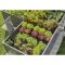 Комплект для поливу Gardena Micro-Drip-System Raised Bed Set для високих грядок на 35 рослин