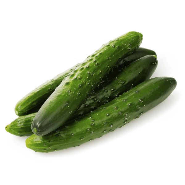Огурец Данди F1 (Семена) Rijk Zwaan - 1000 шт