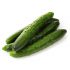 Огурец Данди F1 (Семена) Rijk Zwaan - 1000 шт