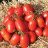 Томат Дино F1 (Семена) Clause - 5000 шт