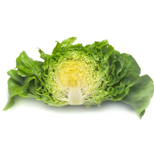 Салат Джиска (Насіння) Rijk Zwaan - 5000 драже