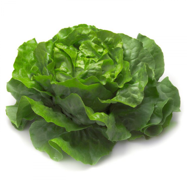 Салат Джиска (Насіння) Rijk Zwaan - 5000 драже