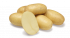 Картопля Джолін Agrico - 20 кг