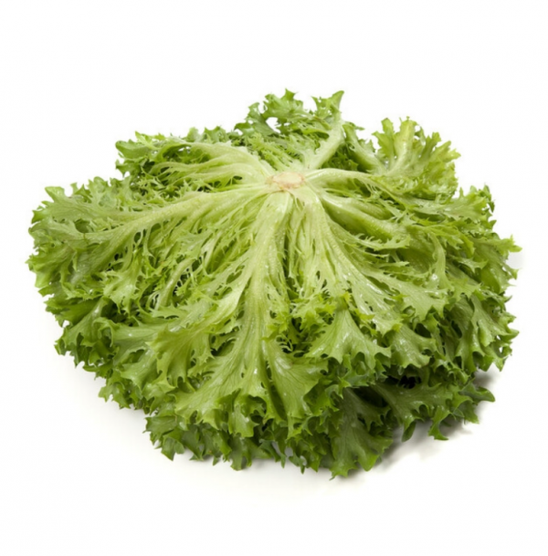 Салат Експедішн (Насіння) Rijk Zwaan - 5000 драже