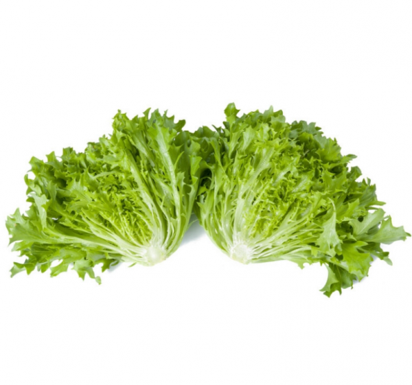 Салат Екстемп (Насіння) Rijk Zwaan - 5000 драже