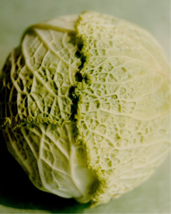 Капуста савойська Естрема F1 (Насіння) Rijk Zwaan - 2500 шт