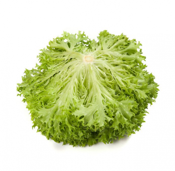 Салат Екзект (Насіння) Rijk Zwaan - 5000 драже