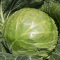 Капуста Элиза F1 (Семена) Sakata - 1000 шт