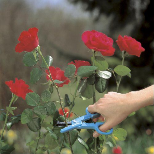 Ножиці для троянд GARDENA 4-в-1