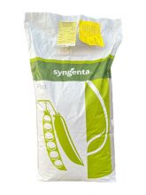 Горох Сомервуд (Насіння) Syngenta - 100 000 шт