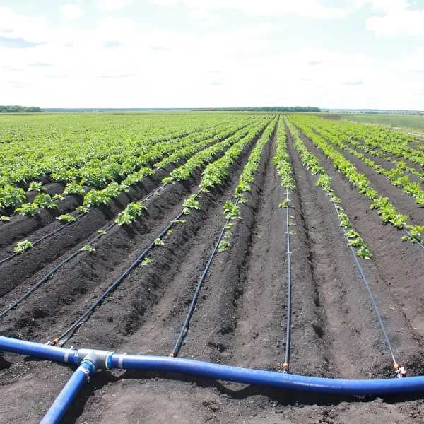 Гнучкий шланг LayFlat 2 дюйма 4 бар (23 кг.) 100 метрів (шт.), 100, 2, 4