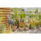 Таймер подачі води Gardena Easy Plus