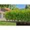 Шланг для мікрокрапельного поливу Gardena Micro-Drip-System 13 мм 25 м