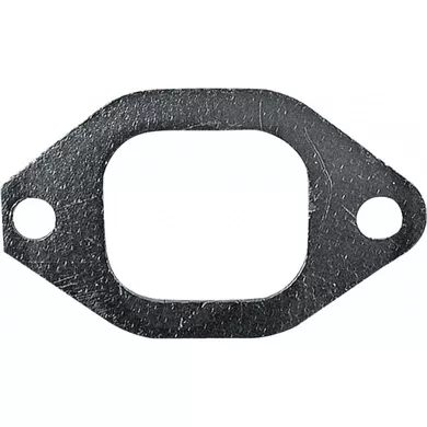 Прокладка колектора впускного, TD5.110 (дв. Iveco 8045) S.62446