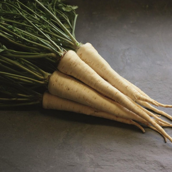 Петрушка Ігл (Насіння) Bejo Zaden - 500 гр