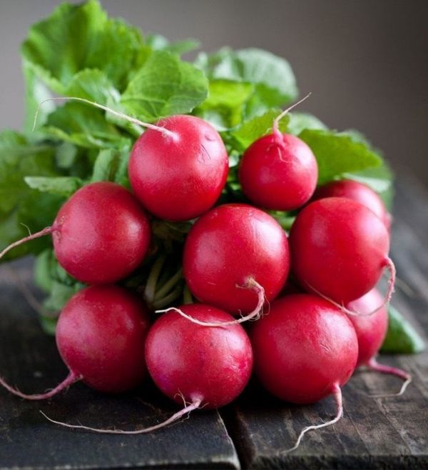 Редиска Ірен F1 (Насіння) Rijk Zwaan - 250 гр