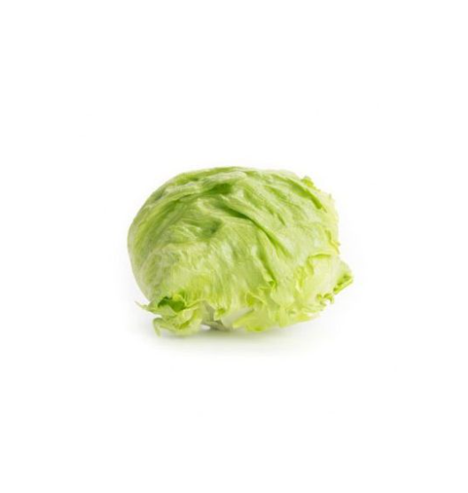 Салат Ізанас (Насіння) Rijk Zwaan - 5000 драже