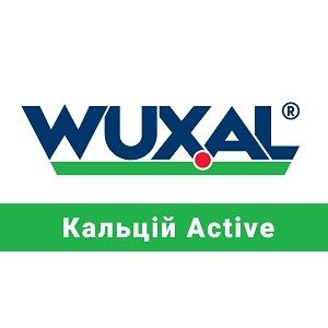 Удобрение Кальций Актив Wuxal - 10 л