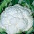 Капуста цветная Фридом F1 (Семена) Seminis - 1000 шт