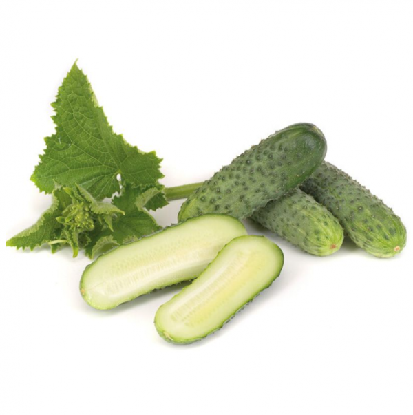 Огірок Караоке F1 (Насіння) Rijk Zwaan - 1000 шт