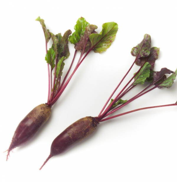 Буряк столовий Карілон PR (калібр 2,75- 3,5) (Насіння) Rijk Zwaan - 100 000 шт