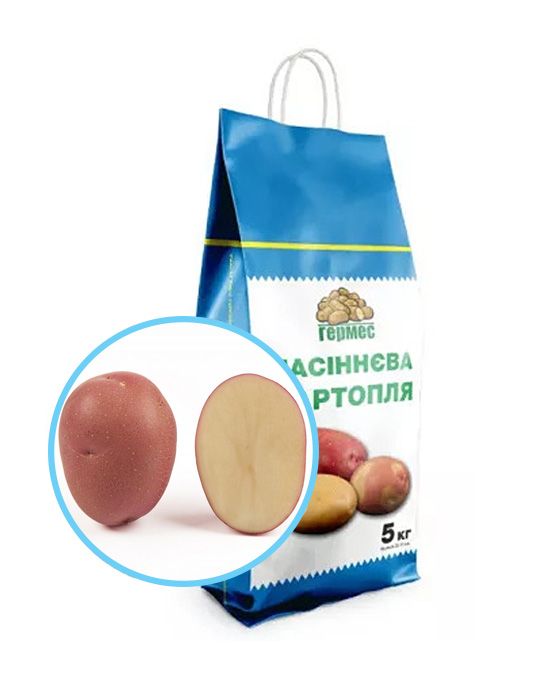 Картофель Электра IPM - 5 кг