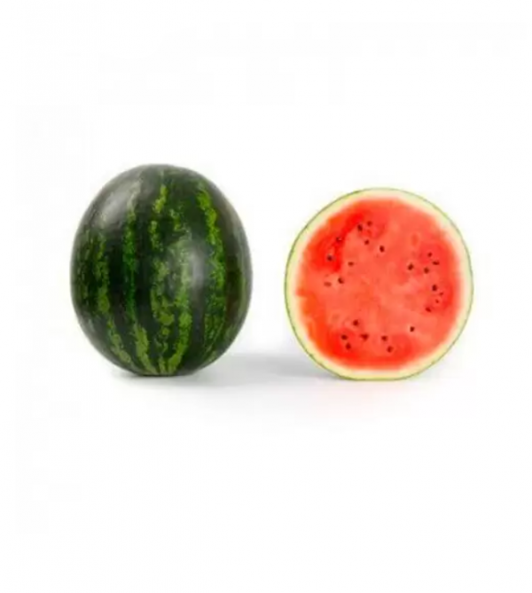 Кавун Керол F1 (Насіння) Rijk Zwaan - 1000 шт