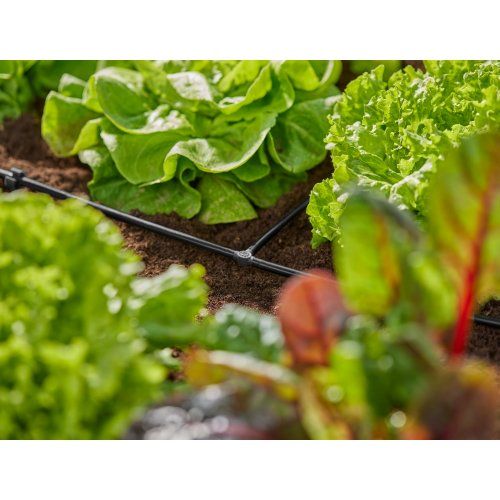 З'єднувач Т-подібний Gardena Micro-Drip-System для шлангів 4,6 мм 10 шт.