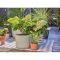 Комплект для поливу Gardena Micro-Drip-System Terrace Set на 30 рослин