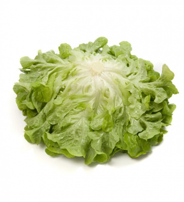 Салат Кирибати (Семена) Rijk Zwaan - 5000 драже