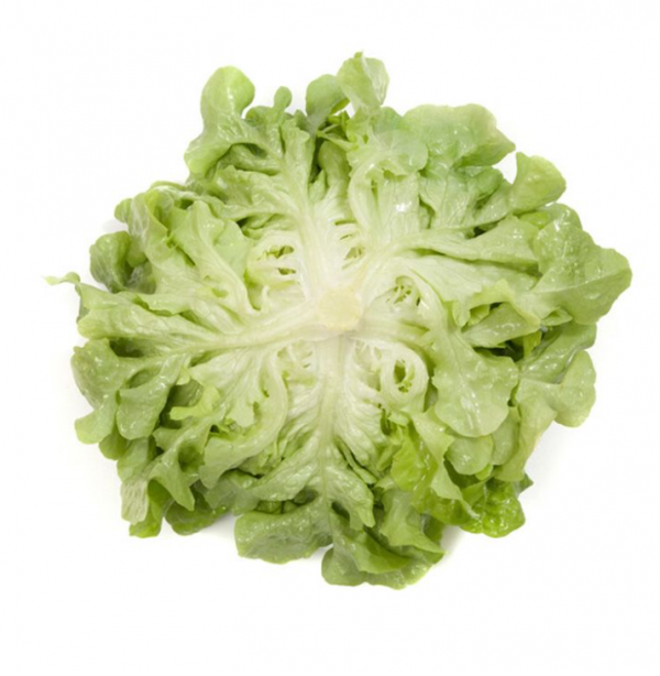 Салат Кириния (Семена) Rijk Zwaan - 5000 драже