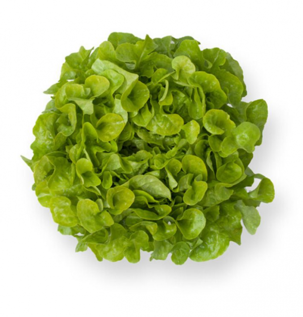 Салат Кириния (Семена) Rijk Zwaan - 5000 драже