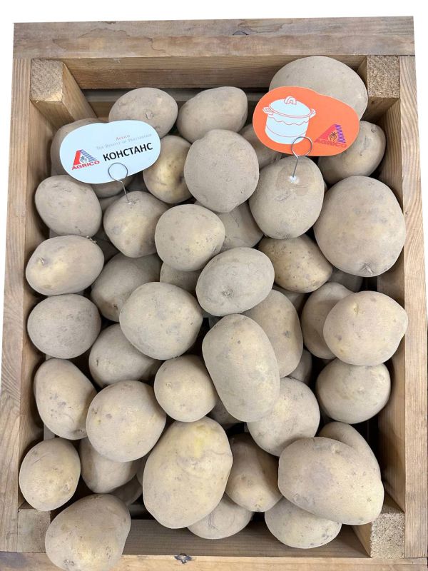 Картопля Констанс Agrico- 2,5 кг