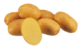 Картофель Констанс Agrico - 20 кг