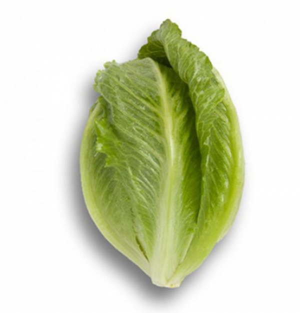 Салат Крунчита (Семена) Rijk Zwaan - 5000 драже