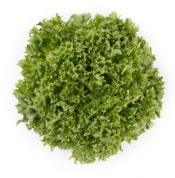 Салат Лалик (Семена) Rijk Zwaan - 5000 драже