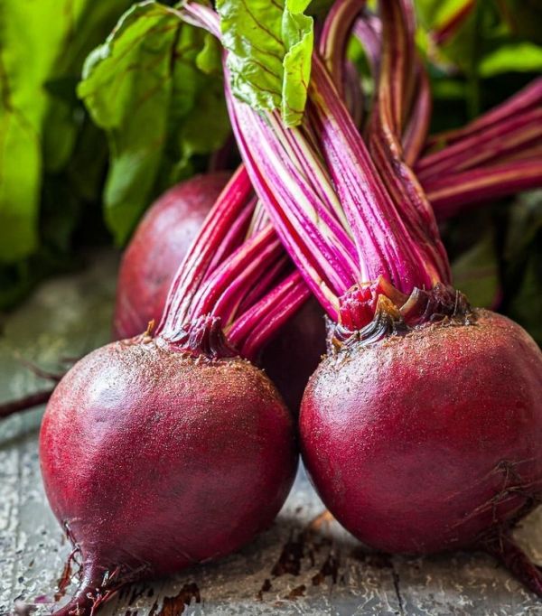 Буряк столовий Ларка (калібр 3,5- 4,25) (Насіння) Rijk Zwaan - 50 000 шт