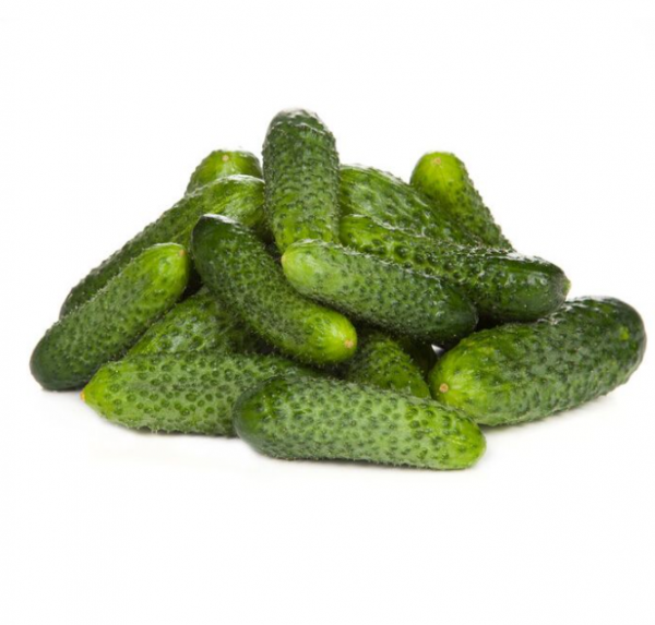 Огірок Ліст F1 (Насіння) Rijk Zwaan - 1000  шт