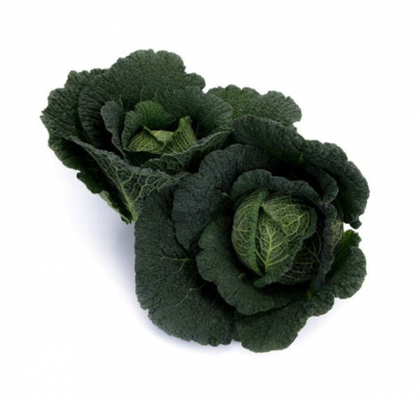 Капуста савойська Мадлена F1 (Насіння) Rijk Zwaan - 2500 шт